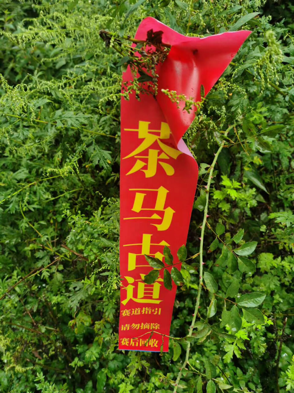 麗江茶馬古道徒步挑戰(zhàn)賽