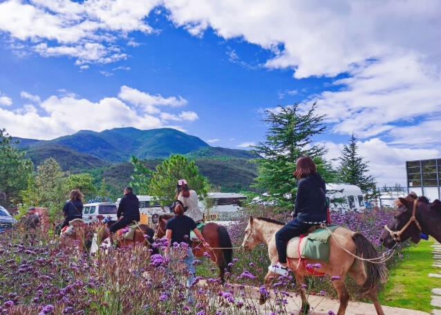 麗江東巴谷汽車旅游營地