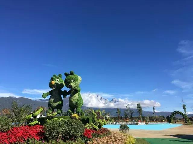 麗江雪山玫瑰莊園