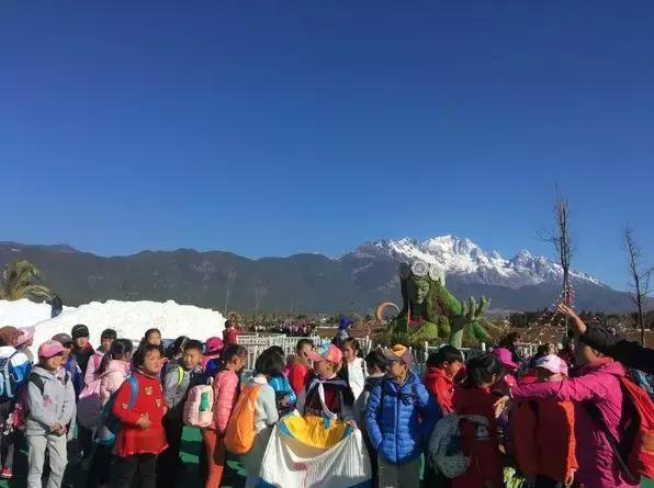 麗江雪山玫瑰莊園