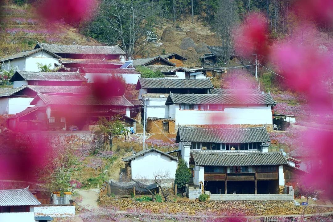 “郭靖”、“黃蓉”喊你來“桃花島”過日子……