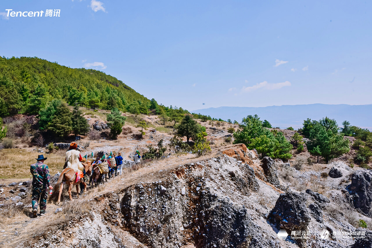 麗江玉湖村茶馬古道徒步團建