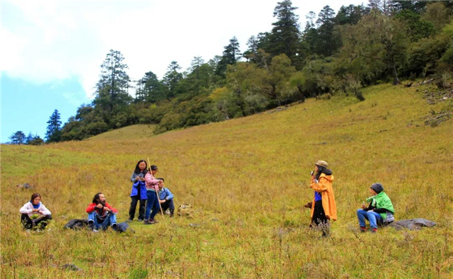 麗江春季旅游指南，每一處都能讓你朋友圈“炸鍋”！