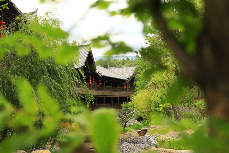 麗江東巴谷婕珞芙山野酒店