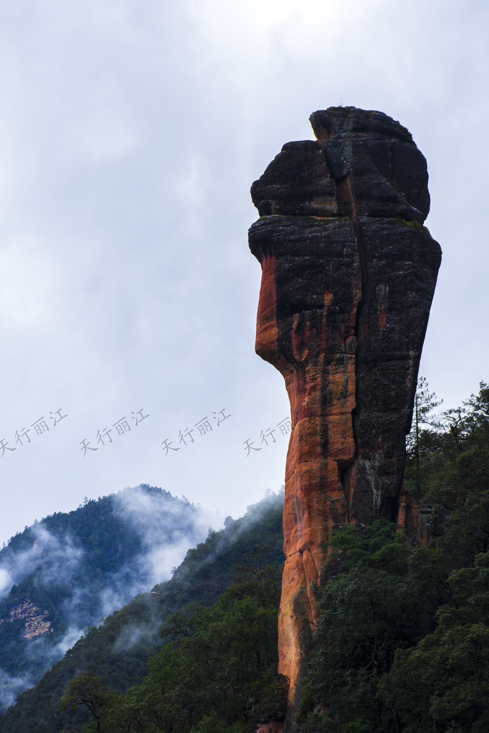 麗江老君山黎明景區(qū)因其避世的清幽、壯美的丹霞，成為了一處令人向往的秘境。 在這里，可以游壯美千龜山。景區(qū)以丹霞地貌聞名，是國內(nèi)面積最大、發(fā)育最完整的丹霞地貌。以千龜山為代表，其形如烏龜?shù)膲邀惥坝^，堪稱中國一絕。游人可乘坐索道，輕松游覽這一奇觀。