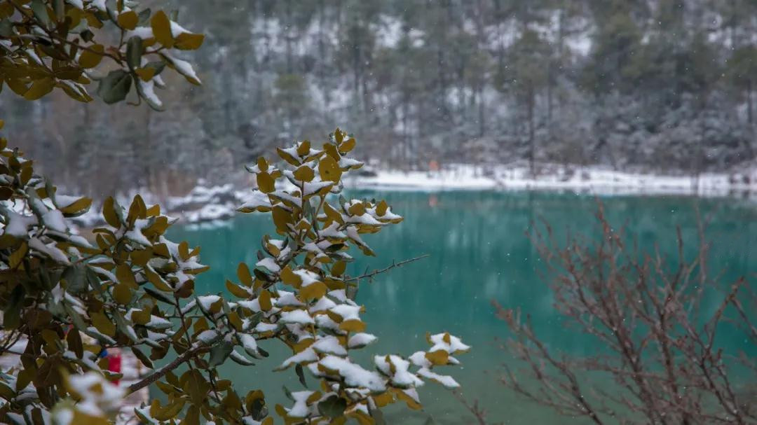 玉龍雪山藍月谷