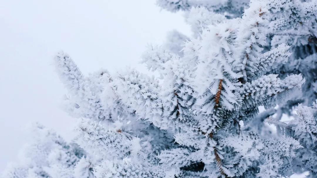 玉龍雪山